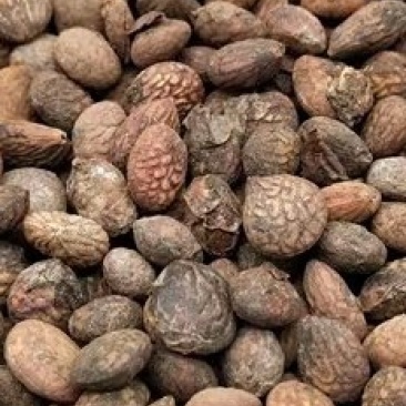蕤仁瑞仁货好量大优惠多多冷背品种数量有限