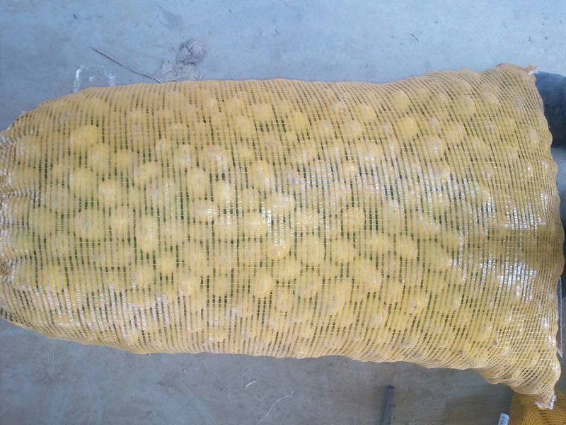 【荐】常年供应迷你土豆小土豆，适合做菜肴，吃火锅，做小吃
