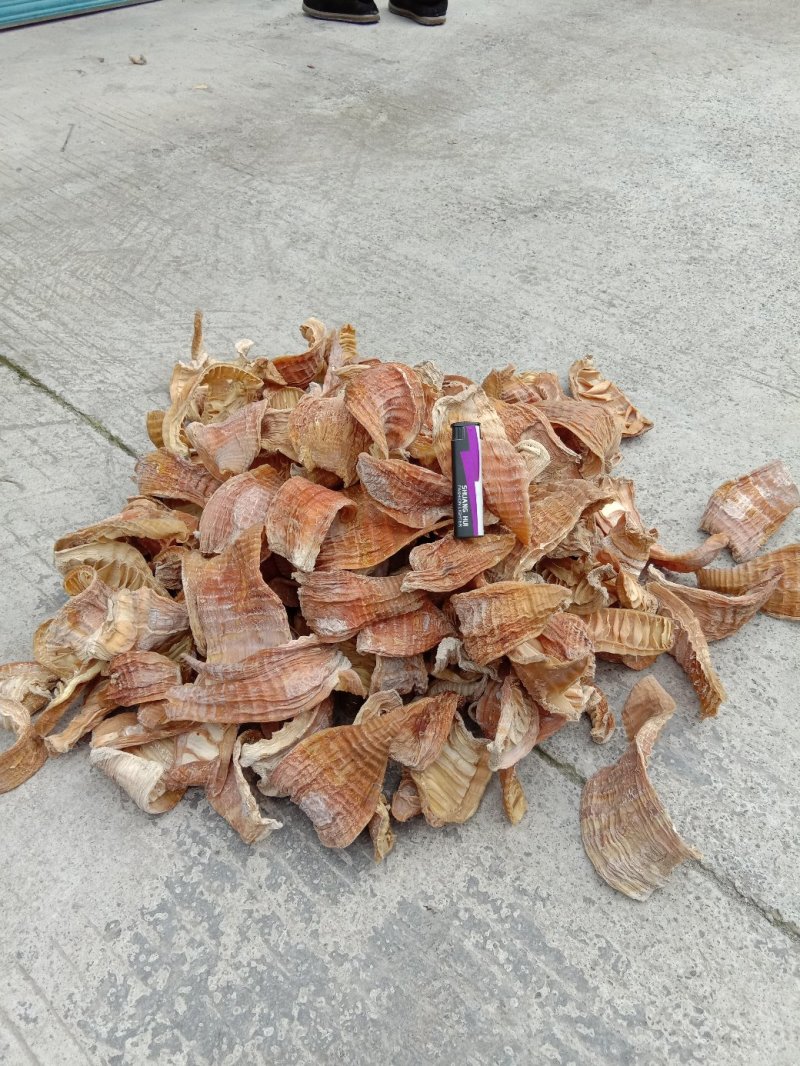 笋干