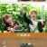 四川桑葚干桑椹干黑桑葚子全国包邮一件代发食用桑葚干特价中