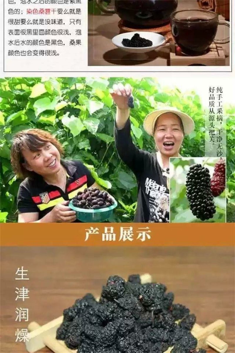 四川桑葚干桑椹干黑桑葚子全国包邮一件代发食用桑葚干特价中