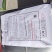葵花种子361363601系列