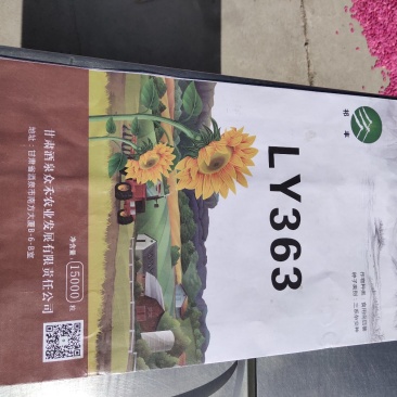 葵花种子361363601系列