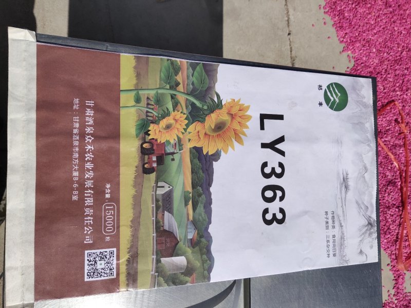 葵花种子361363601系列