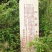 诏安乌龙八仙茶，高山茶叶茶香浓耐泡员工茶农场茶园