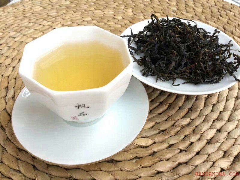 诏安乌龙八仙茶，高山茶叶茶香浓耐泡员工茶农场茶园