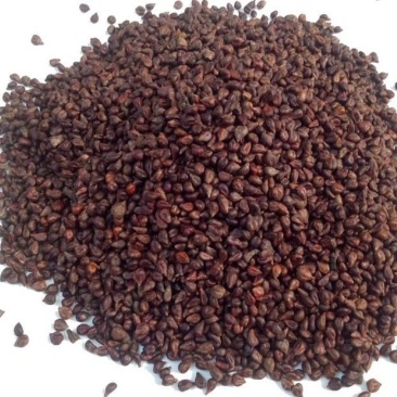 野葡萄籽葡萄根葡萄藤药用货好量大代抓各种药方