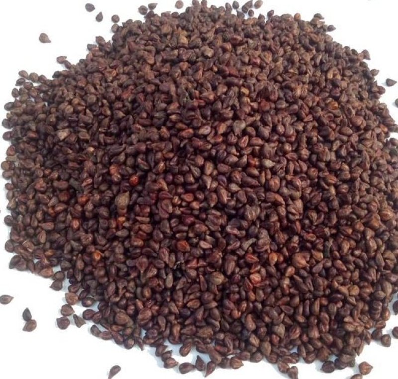 野葡萄籽葡萄根葡萄藤药用货好量大代抓各种药方