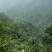 野生百花蜜