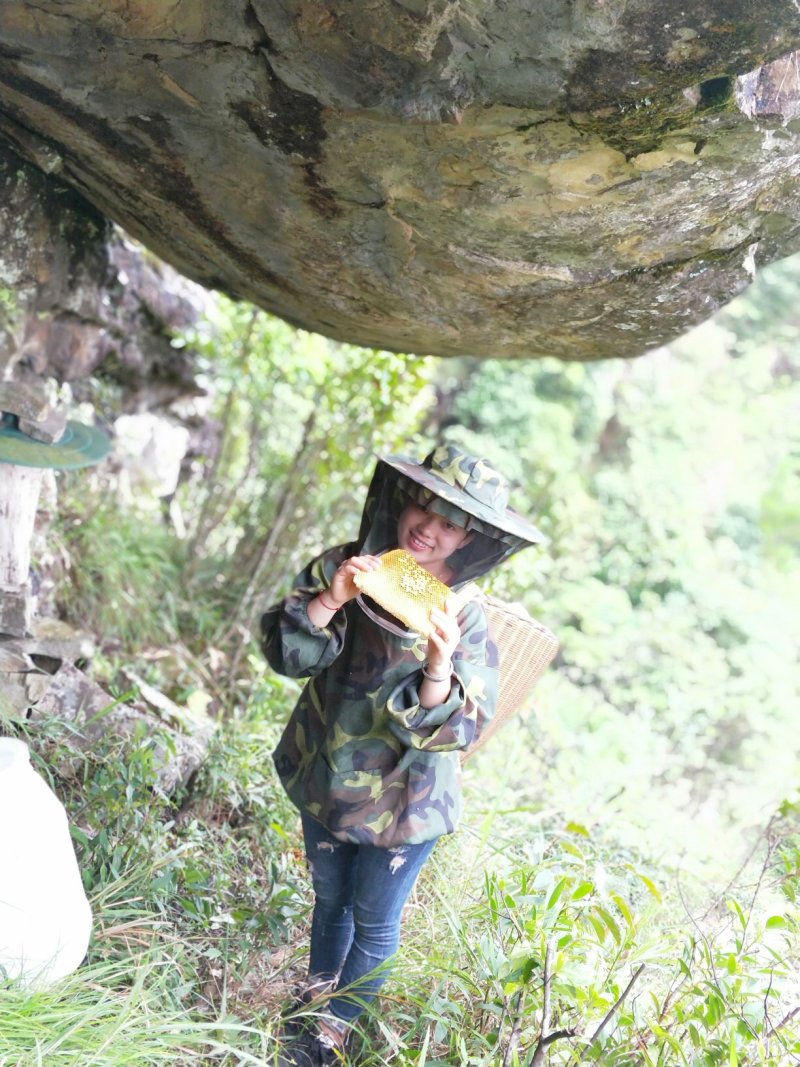 野生百花蜜