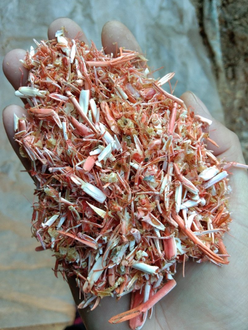 动物性蛋白饲料烘干虾毛烘干鱼干虾腿虾粉喂蛋鸡蛋鸭母猪猪仔