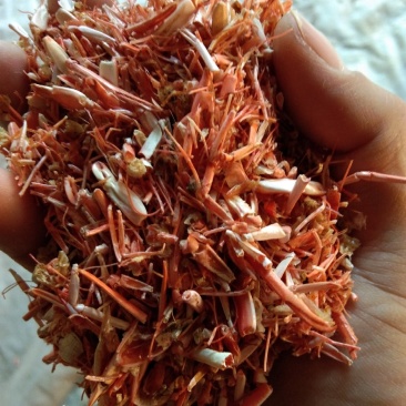 动物性蛋白饲料烘干虾毛烘干鱼干虾腿虾粉喂蛋鸡蛋鸭母猪猪仔