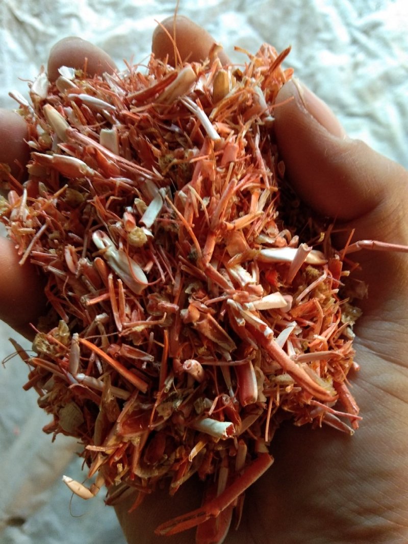 动物性蛋白饲料烘干虾毛烘干鱼干虾腿虾粉喂蛋鸡蛋鸭母猪猪仔