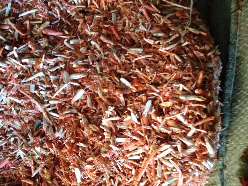 动物性蛋白饲料烘干虾毛烘干鱼干虾腿虾粉喂蛋鸡蛋鸭母猪猪仔