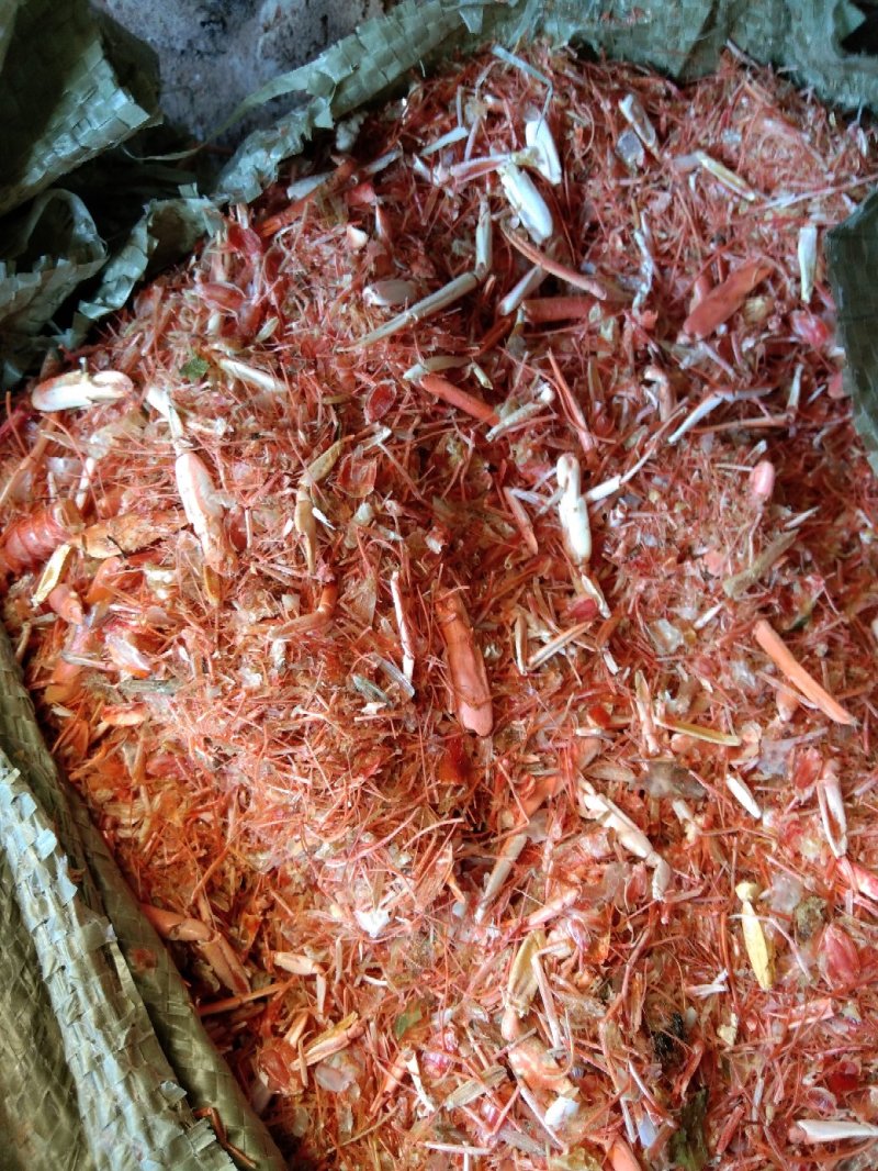 动物性蛋白饲料烘干虾毛烘干鱼干虾腿虾粉喂蛋鸡蛋鸭母猪猪仔