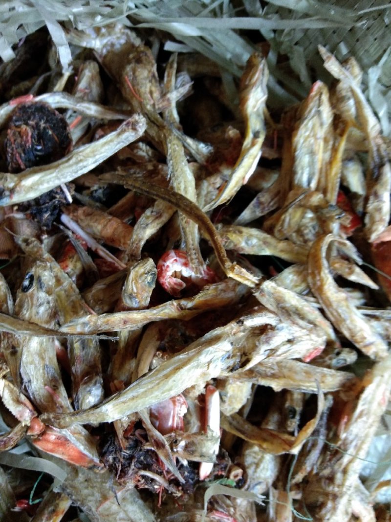 动物性蛋白饲料烘干虾毛烘干鱼干虾腿虾粉喂蛋鸡蛋鸭母猪猪仔