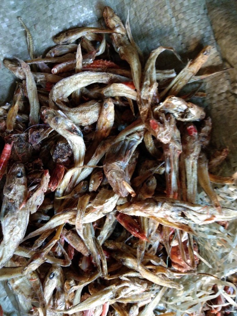动物性蛋白饲料烘干虾毛烘干鱼干虾腿虾粉喂蛋鸡蛋鸭母猪猪仔