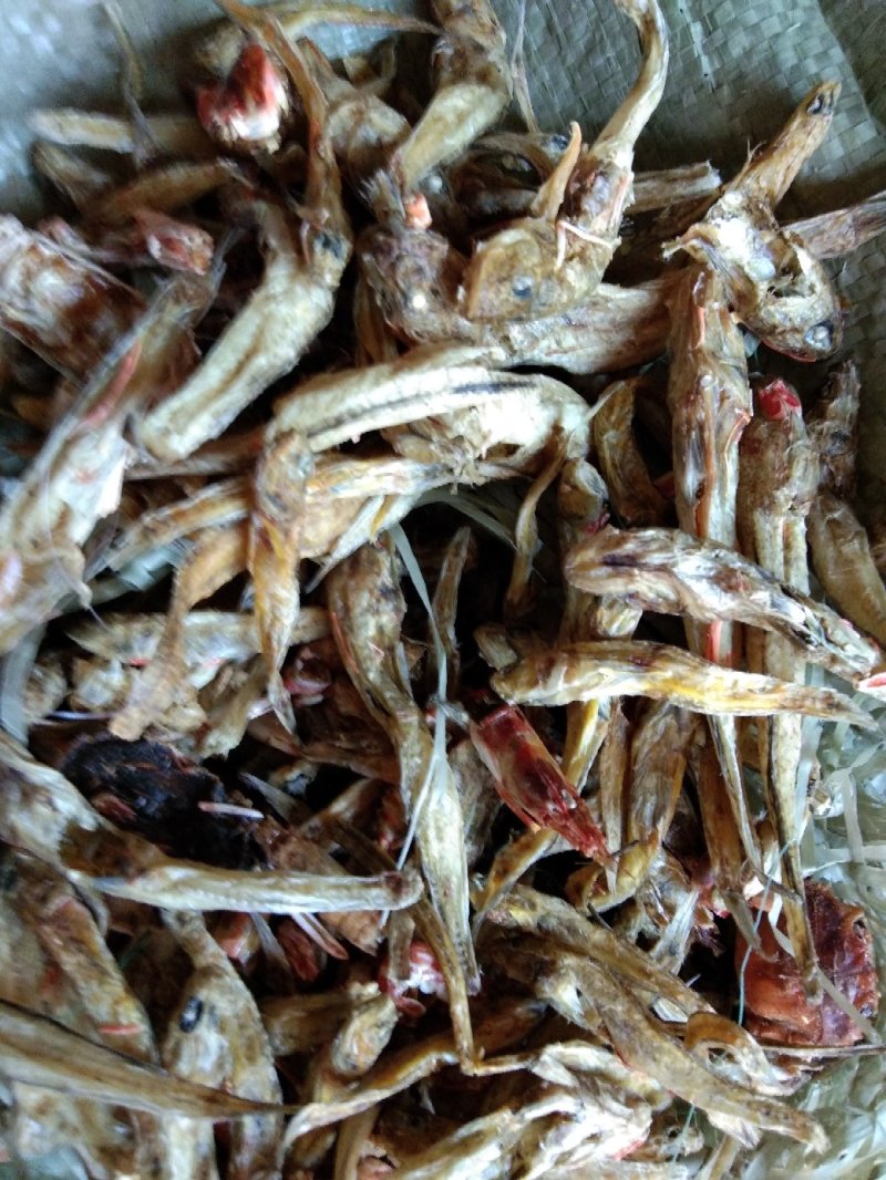 动物性蛋白饲料烘干虾毛烘干鱼干虾腿虾粉喂蛋鸡蛋鸭母猪猪仔