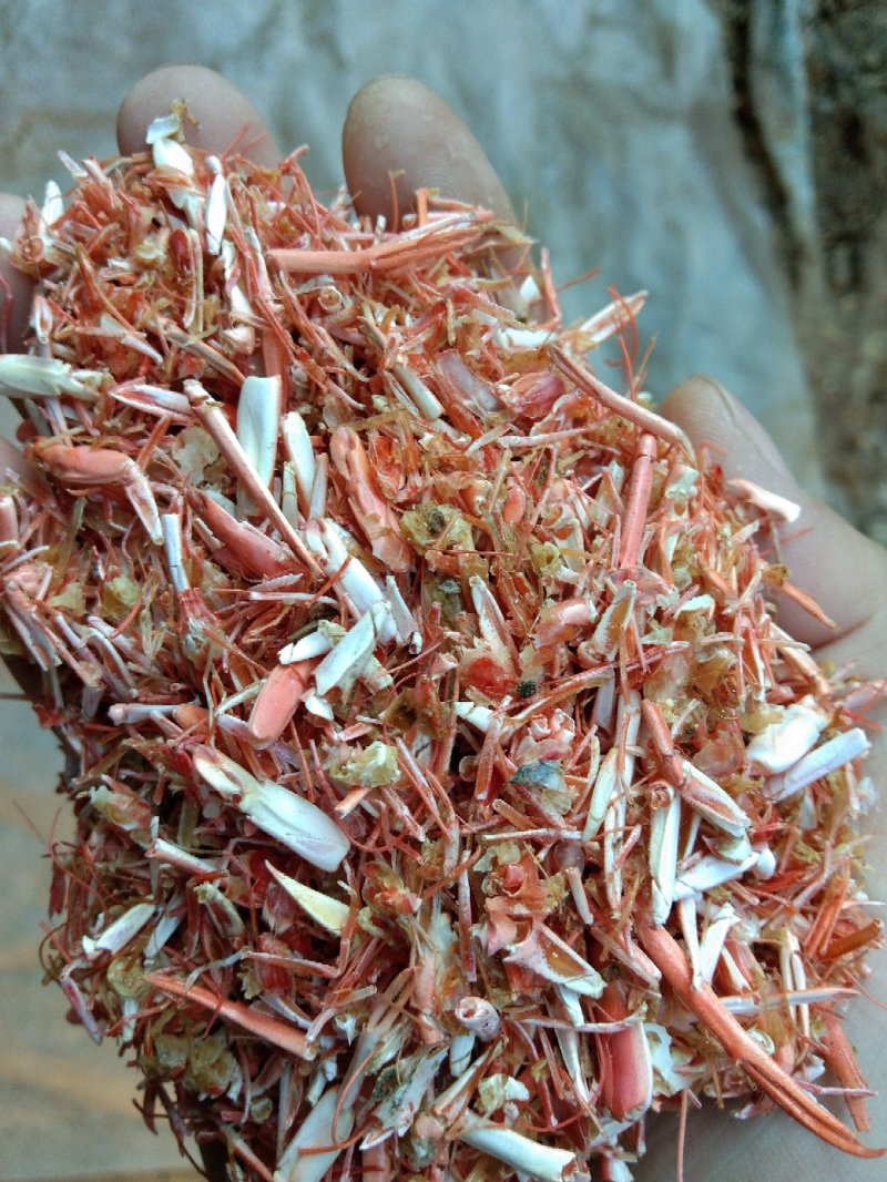 动物性蛋白饲料烘干虾毛烘干鱼干虾腿虾粉喂蛋鸡蛋鸭母猪猪仔