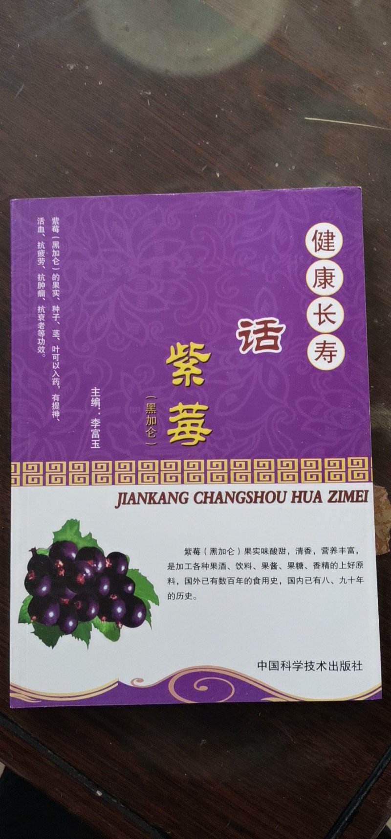 批发零售黑加仑种苗！！！！产地直销！货真价实！