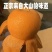 屏山五星大枇杷