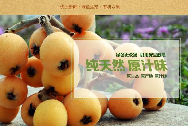 宜宾屏山新鲜五星大枇杷包邮非米易枇杷场地直发，新鲜直达