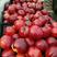126油桃，黄心油桃大量批发，暖棚油桃大量上市了，