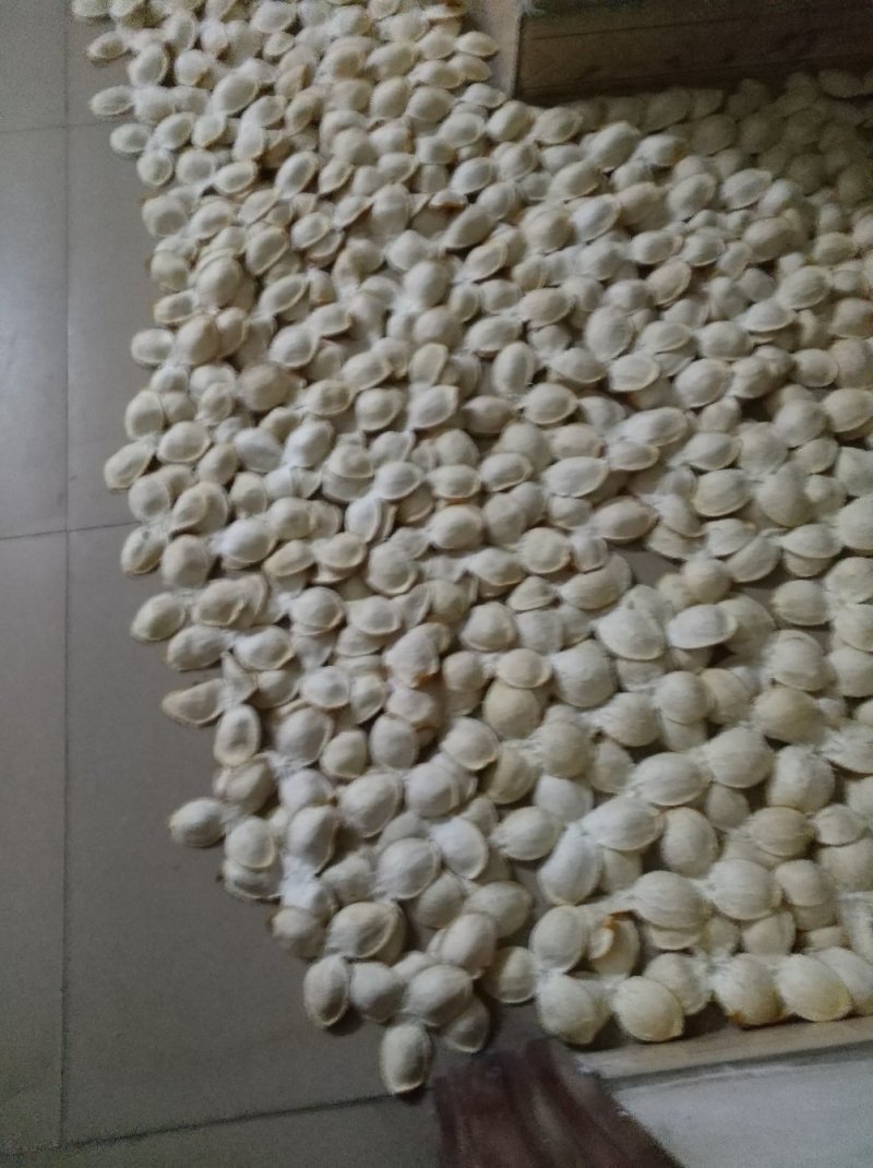 自然环保，无污染的地方种出来的陈皮，欢迎各老板前来采购