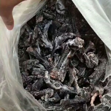 乌鸡鸡爪，25克以上