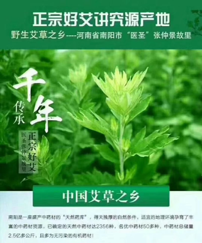 严选精选100目纯叶艾叶粉(中药材)