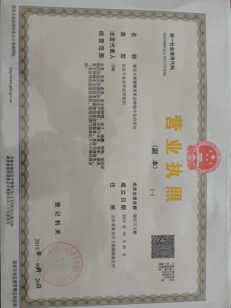 扒米，炒货用（35粒/斤）坏果不超一斤山东泰安产地直供