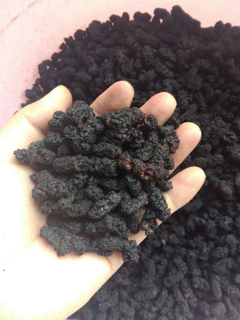 桑果干～优质桑果干烘干货1斤起批发零售