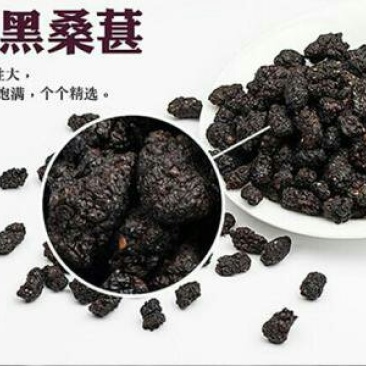 桑果～优质桑果基地！欢迎食品厂！干果商！电商！药材客商订