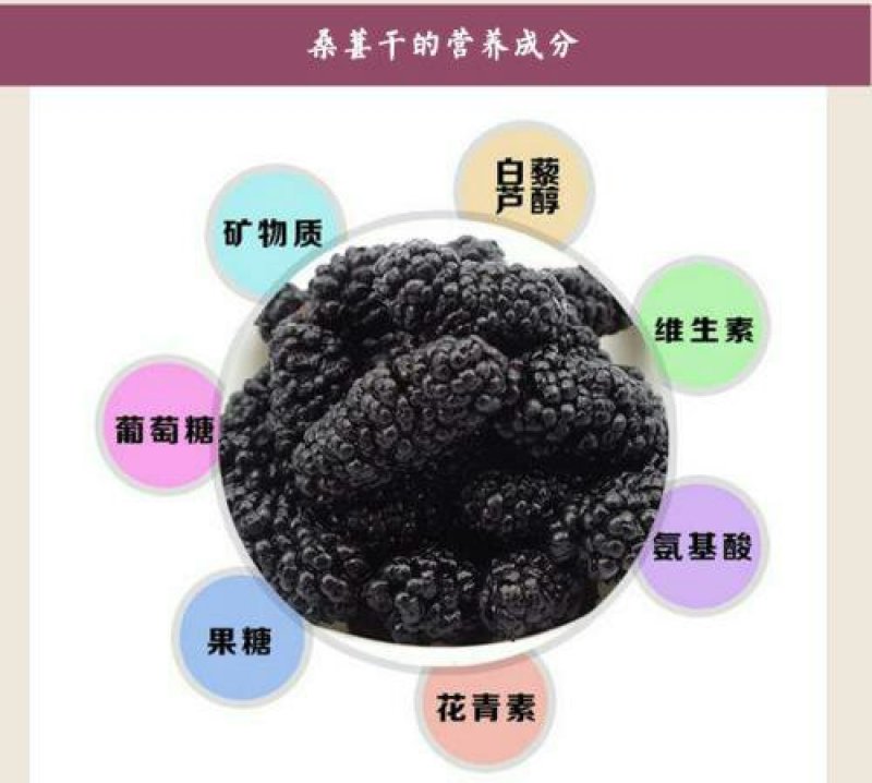 桑果～优质桑果基地！欢迎食品厂！干果商！电商！药材客商订