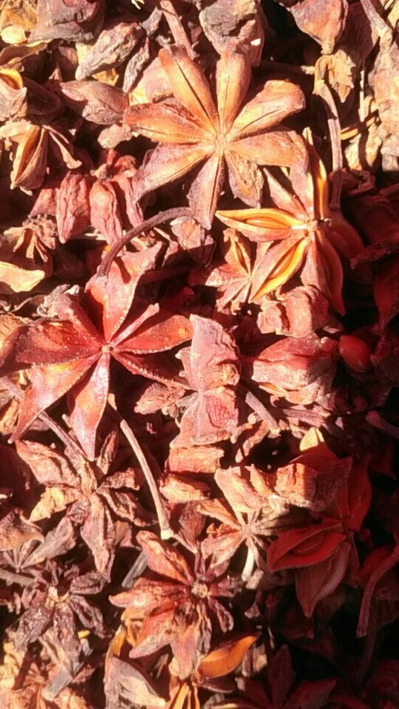 黑山木耳，一点二的无筋的，光板，黄花菜，
