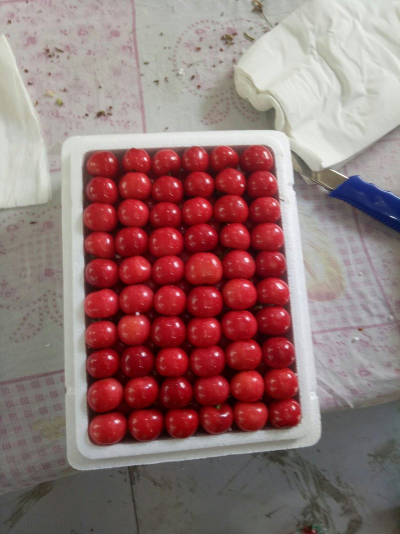 樱桃