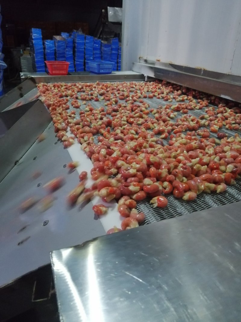 麻辣十三香口味虾，即热即吃