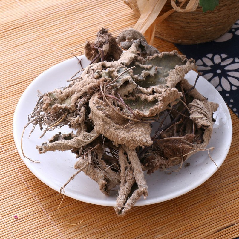 岩白菜红岩七批发零售冷背中药材