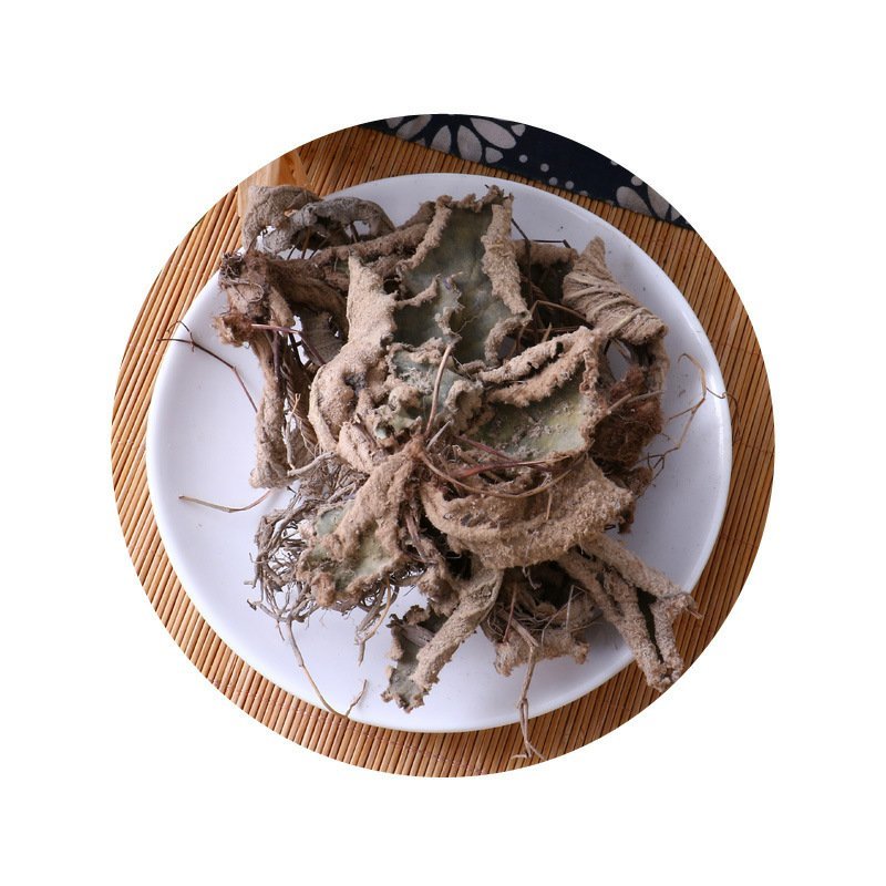 岩白菜红岩七批发零售冷背中药材