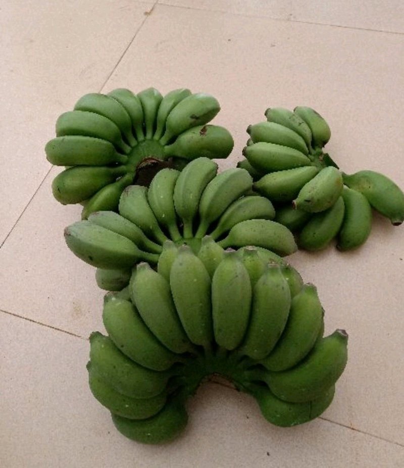 小米蕉皇帝蕉