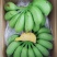 小米蕉皇帝蕉