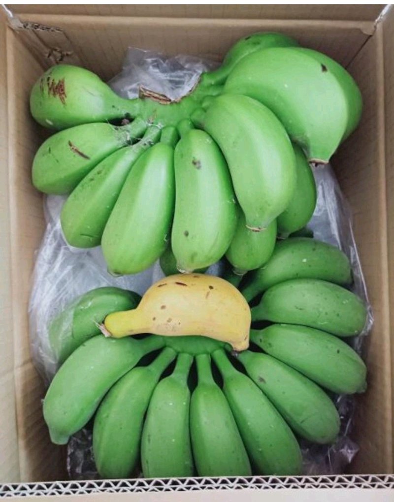 小米蕉皇帝蕉