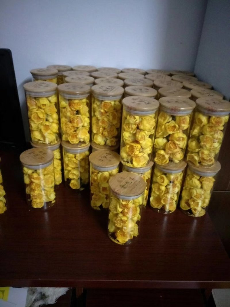 防城防普金花茶高压苗