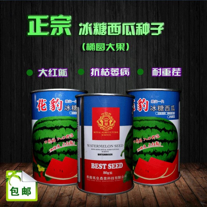特大花皮西瓜种子赣新花豹耐雨水耐高温座果多皮薄坚韧瓤红籽