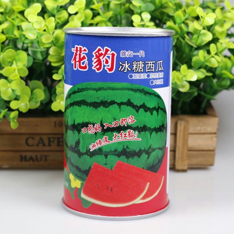 特大花皮西瓜种子赣新花豹耐雨水耐高温座果多皮薄坚韧瓤红籽