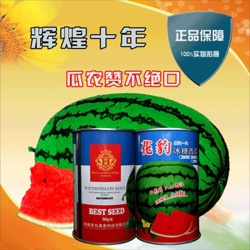 特大花皮西瓜种子赣新花豹耐雨水耐高温座果多皮薄坚韧瓤红籽
