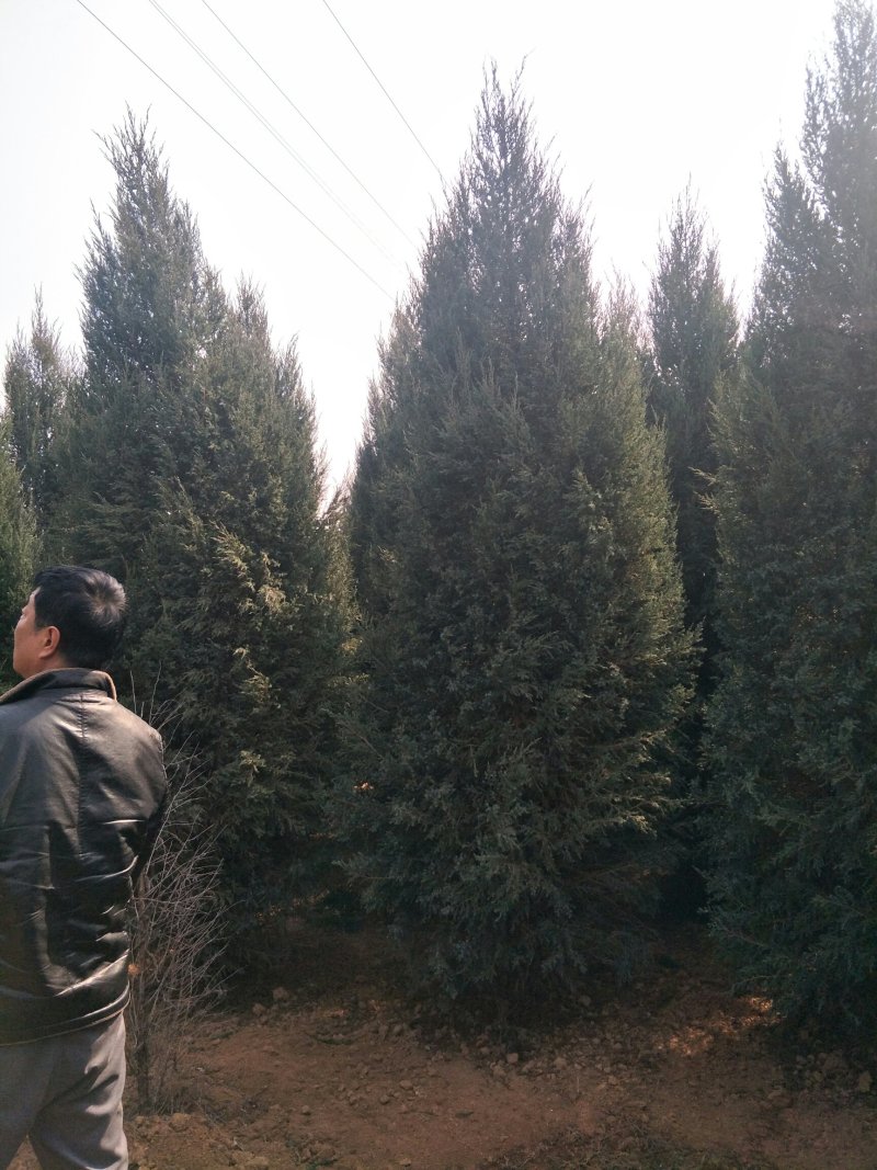 河南快
