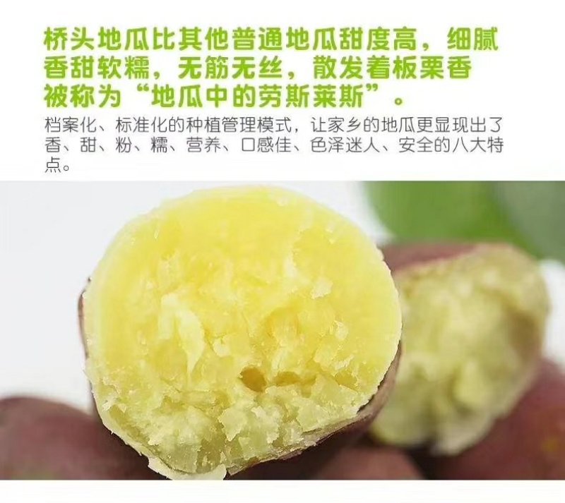 海南澄迈桥头地瓜10斤装板栗薯红薯地瓜