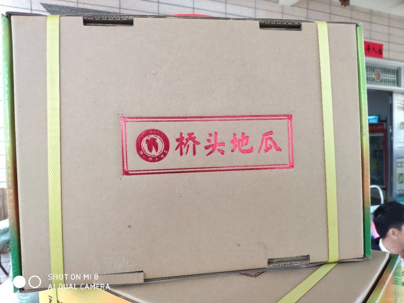 海南澄迈桥头地瓜10斤装板栗薯红薯地瓜