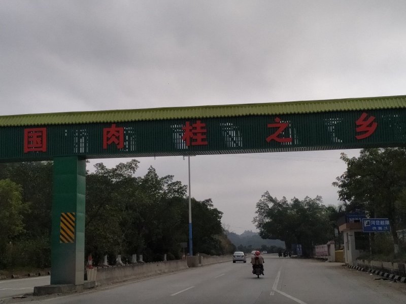来自中国肉桂之乡的桂皮